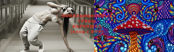 прущая мука Надым