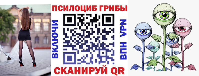 купить  цена  Ялуторовск  Галлюциногенные грибы MAGIC MUSHROOMS 